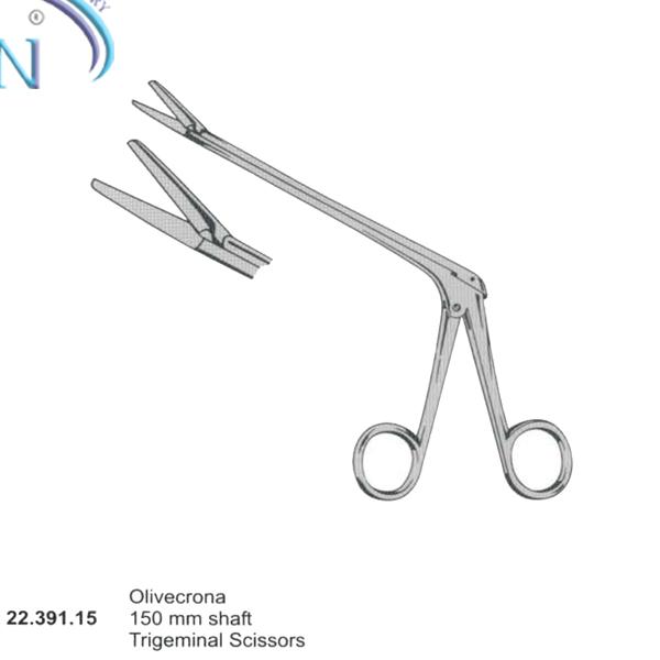 Dissecting Scissors