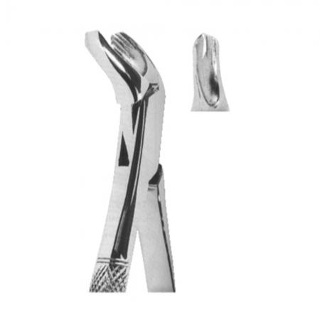 Extracting Forceps American