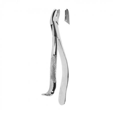 Extracting Forceps American