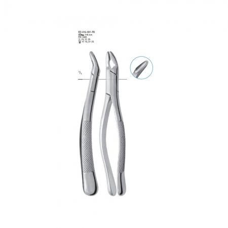 Extracting Forceps American pattern